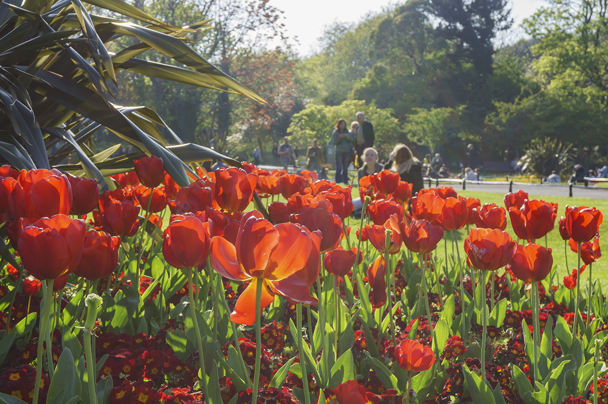 Us And Co Location Dublin St Stephens Green Image 2